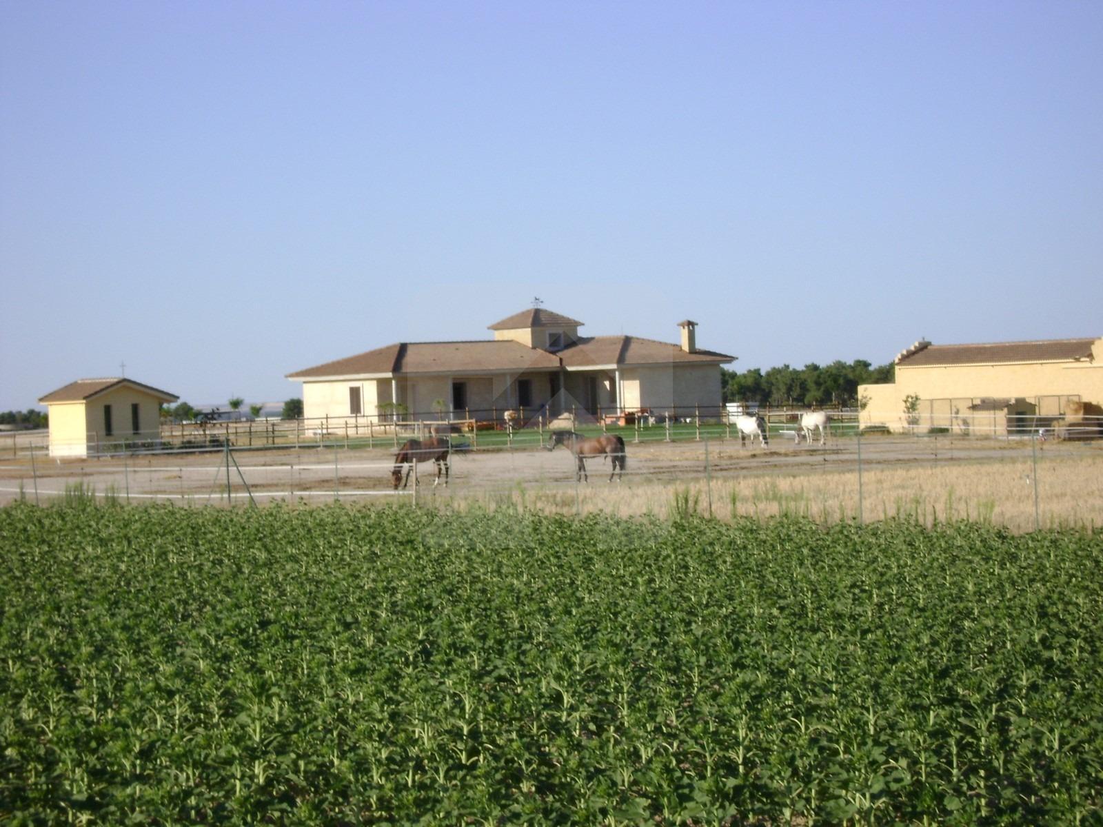 Finca rústica