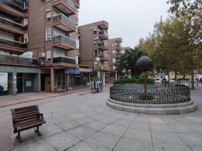 gallery-2