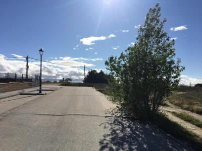 gallery-5
