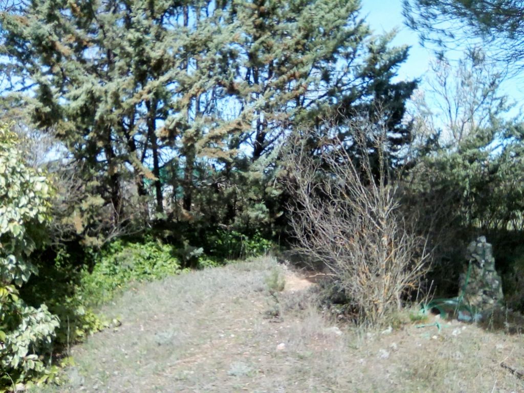 Parcela