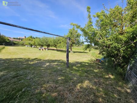 gallery-5