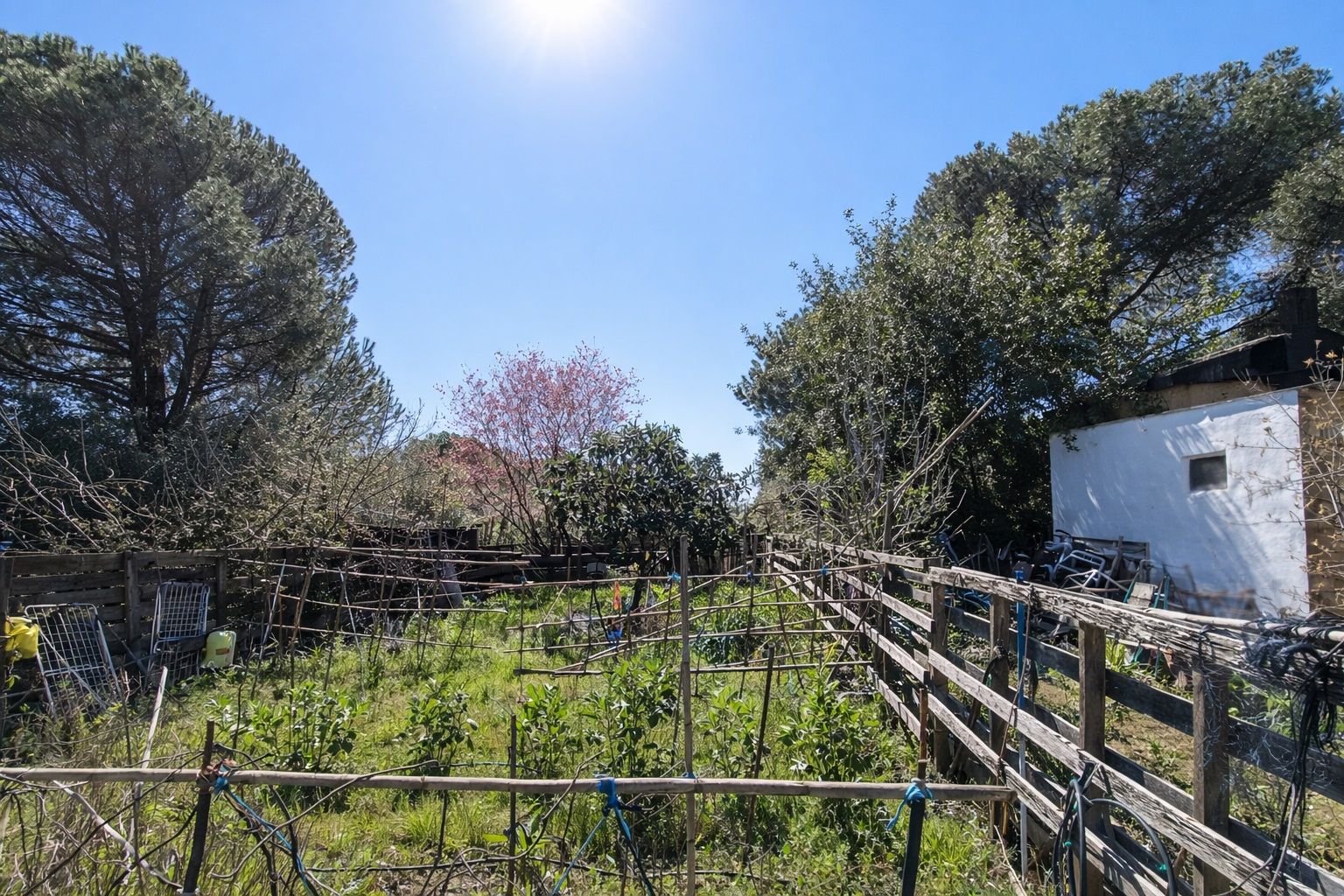 Hacienda