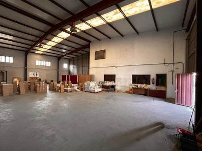 gallery-3