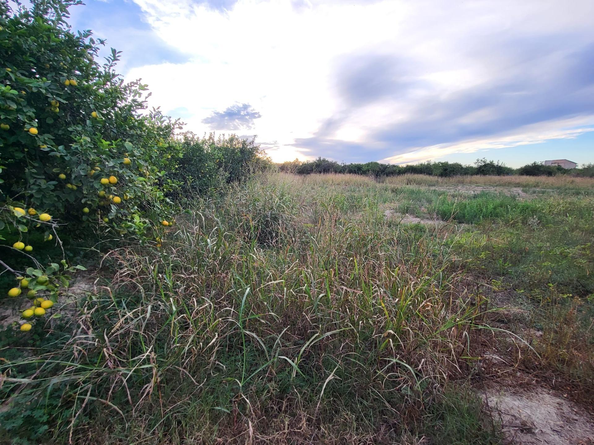 Terreno rural