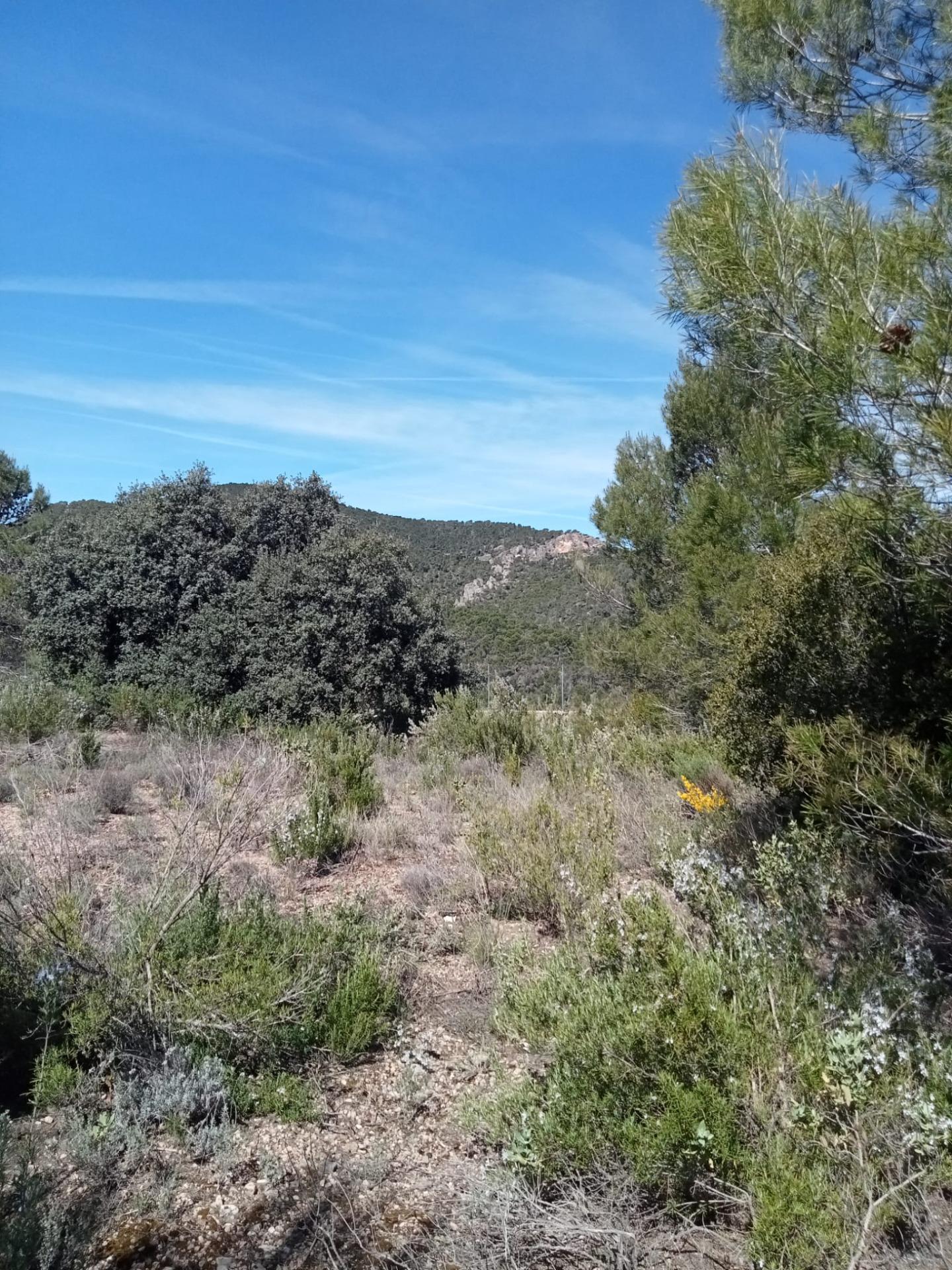 Parcela