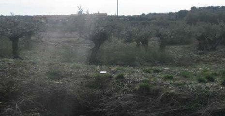 Terreno urbanizable
