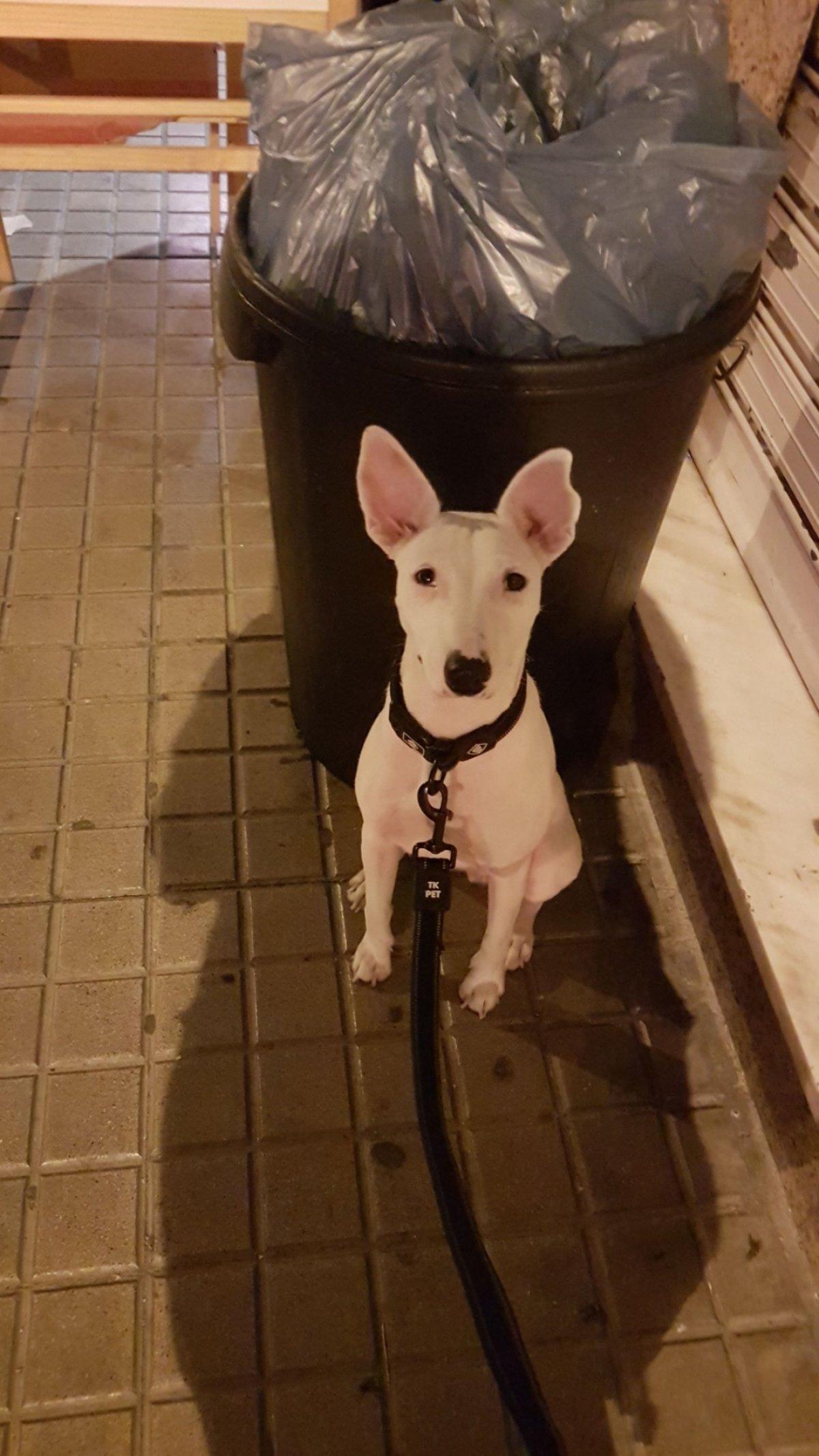 Negocio