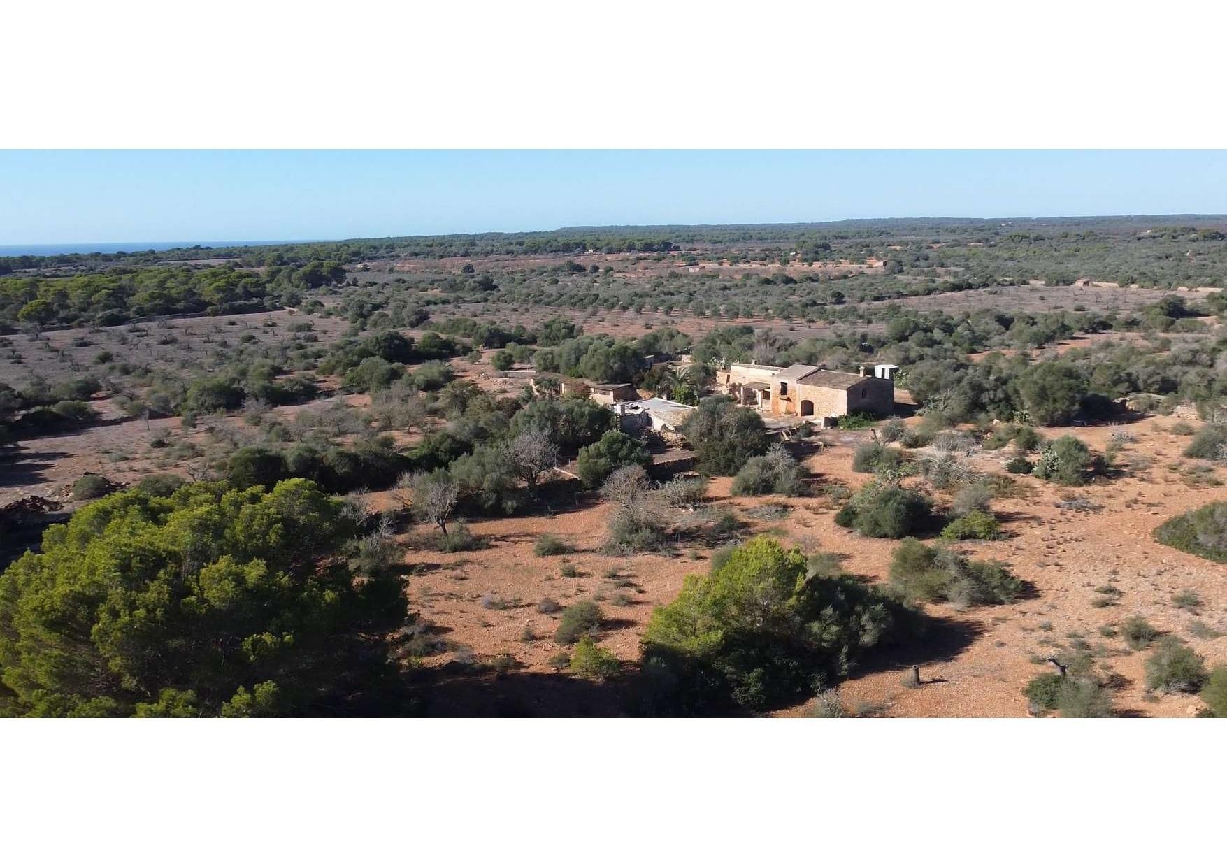 Finca rústica