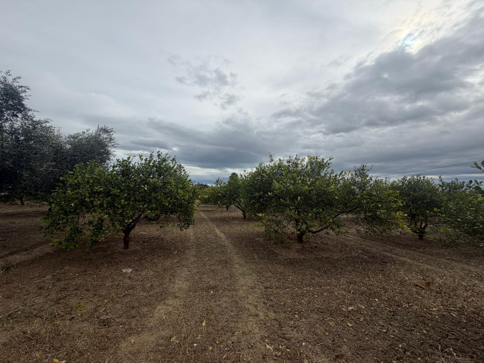 Terreno rural