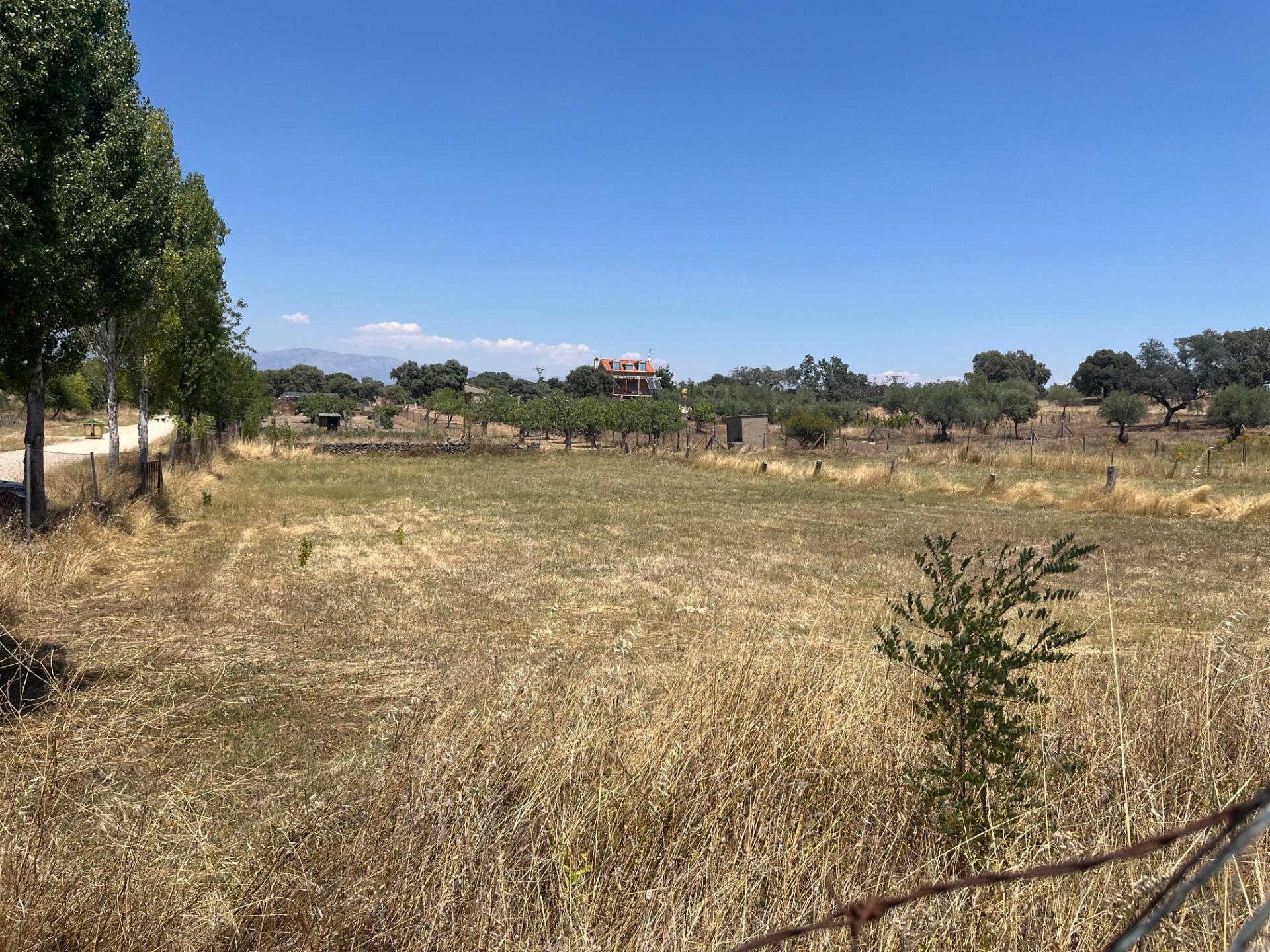 Terreno urbano