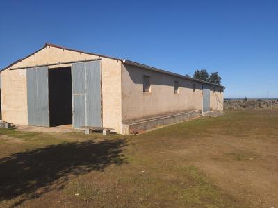 gallery-2