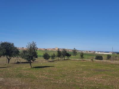gallery-4