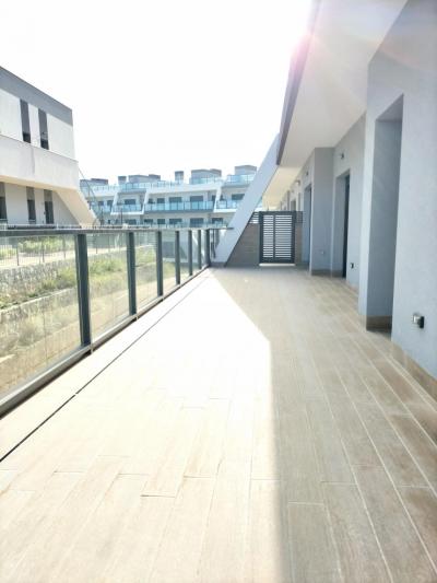 gallery-3